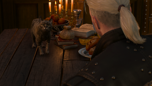 Nibbles_the_cat_looks_at_Geralt